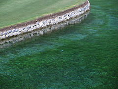 masters golf