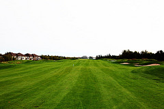 best golf clubs